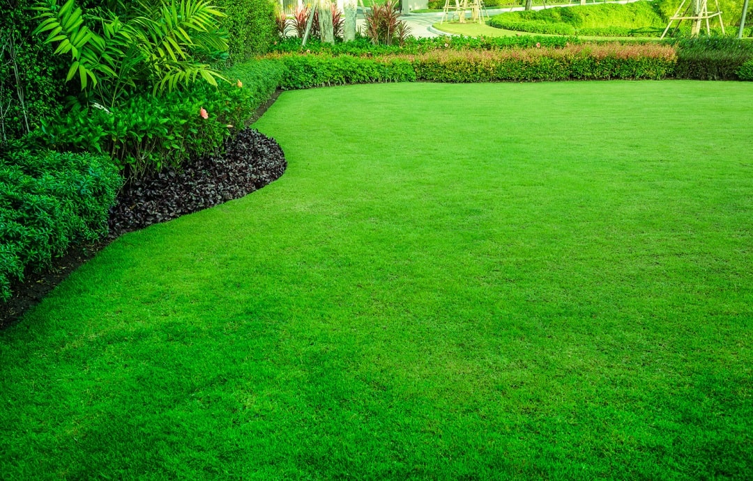 5 Tips To Keep Your Lawn Greener In The Summer - Felice Landscaping