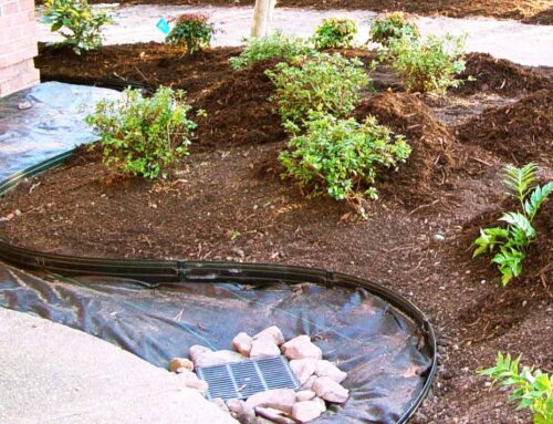 5 Essential Tips To Improve Your Landscape Draining System