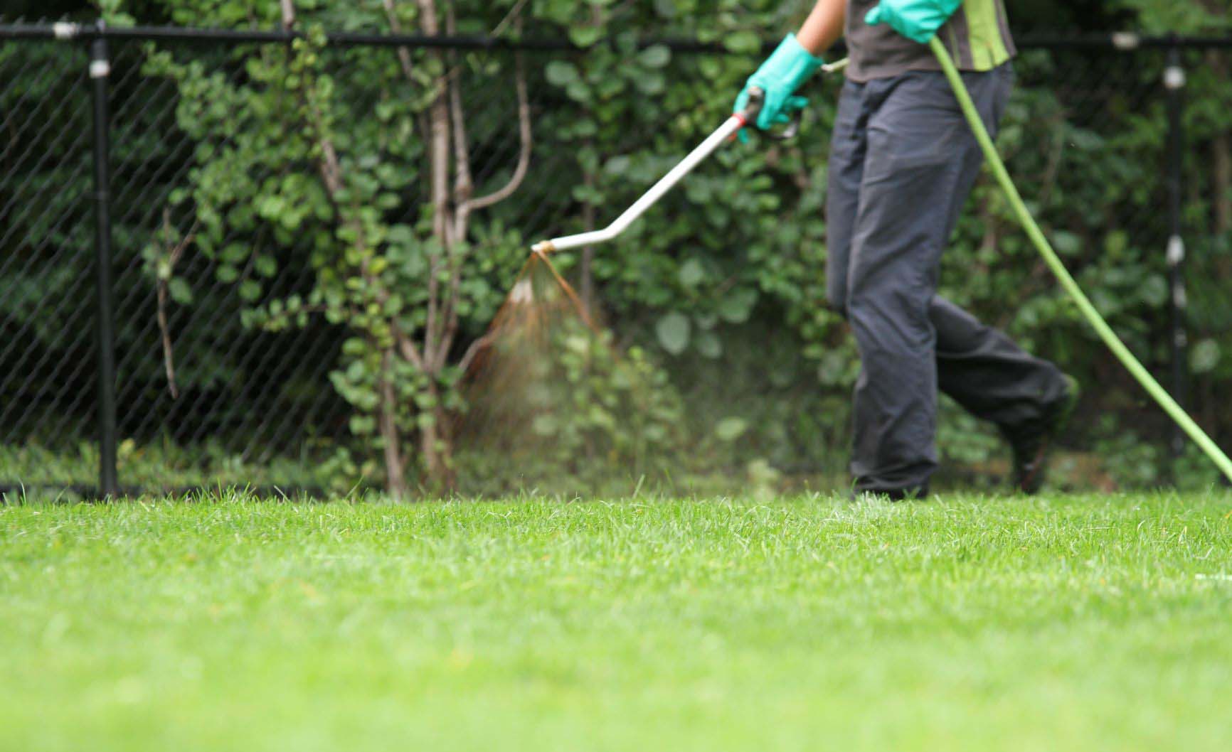 Beginners Guide To Organic Lawn Treatments - Felice Landscaping