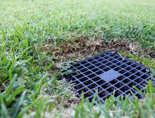 Find Local Yard Drainage Contractors Near You: Westchester County