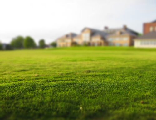 Signs Your Mamaroneck Irrigation System Needs a Tune-Up