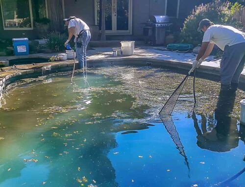 Got Pond Odor? We Have Solutions