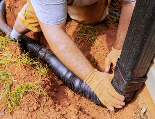 Yard Drainage Problems You Should Not Ignore