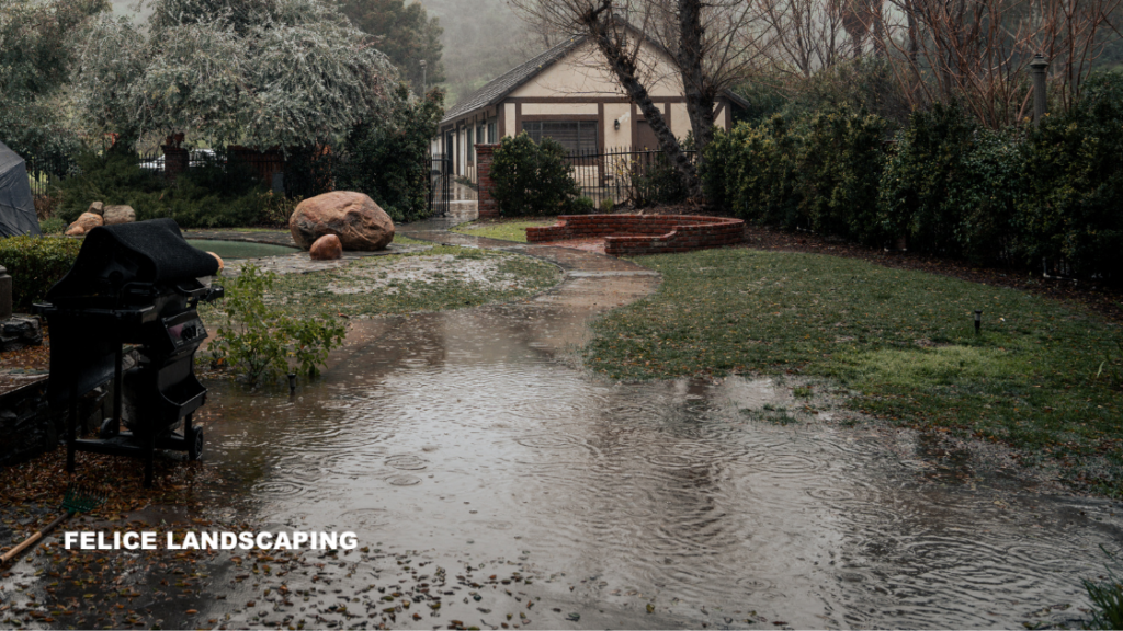 Front yard with standing water