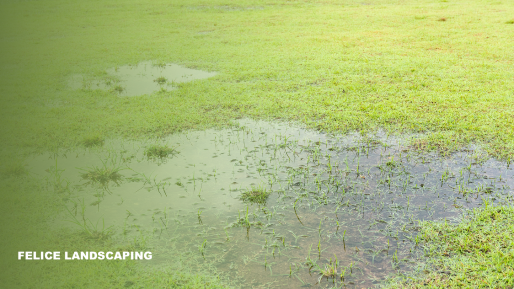 backyard with puddles of standing water