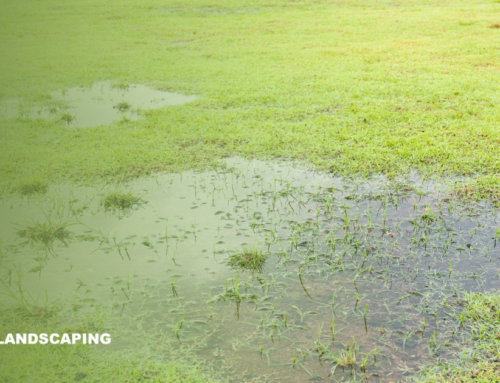 Solutions By Yard Drainage Contractors in Westchester County