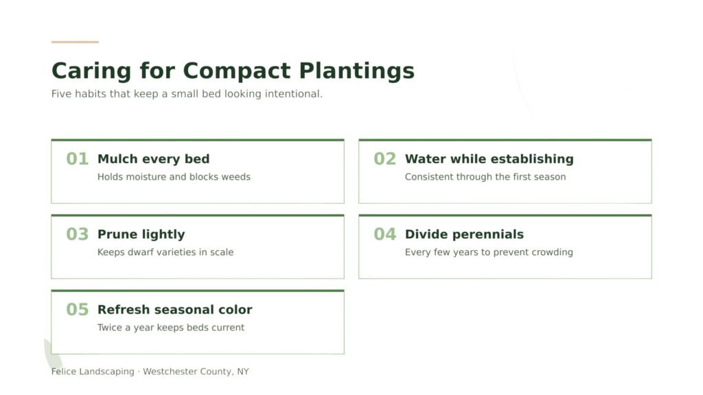 Tips to care for compact planting