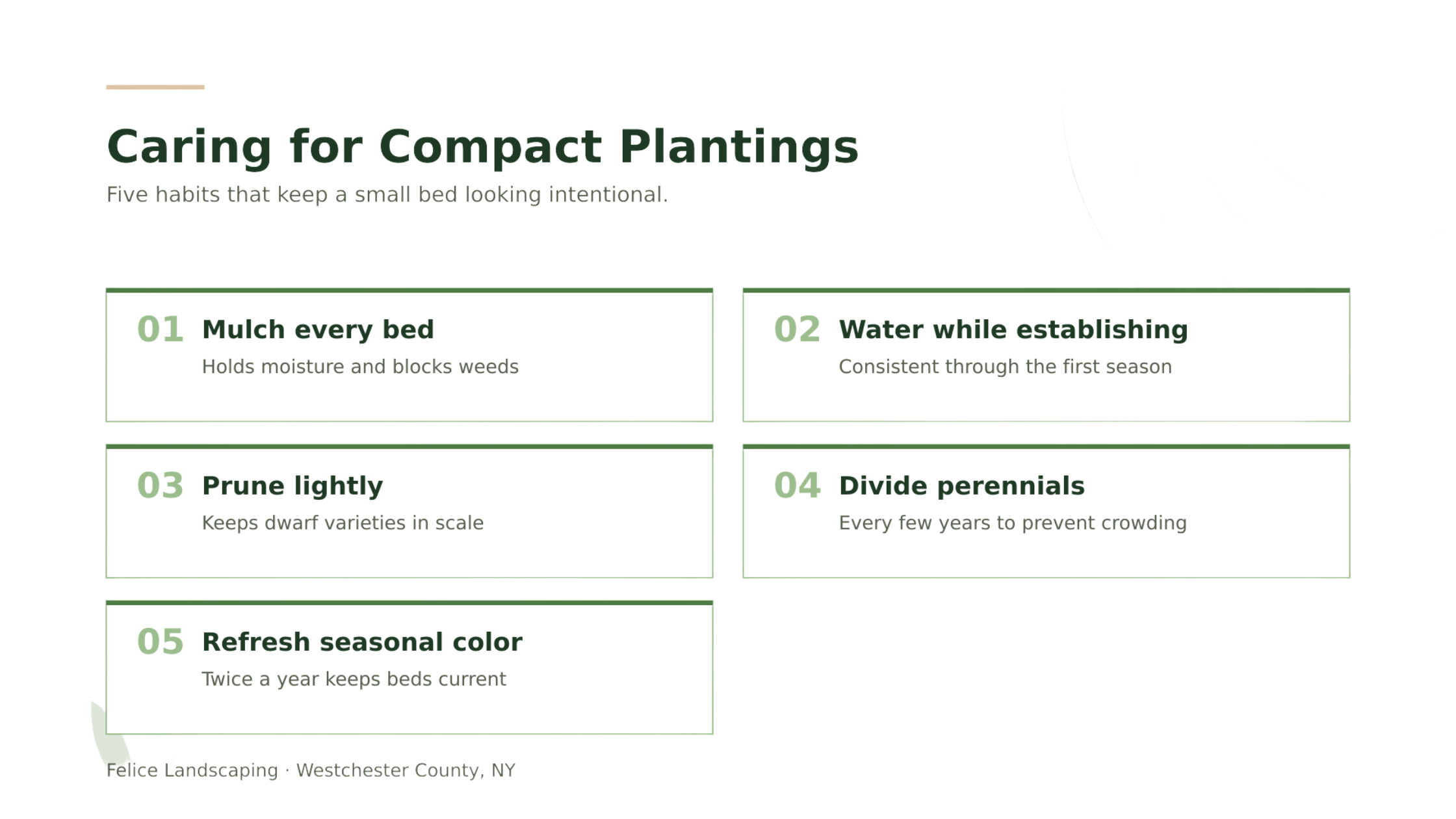 Tips to care for compact planting