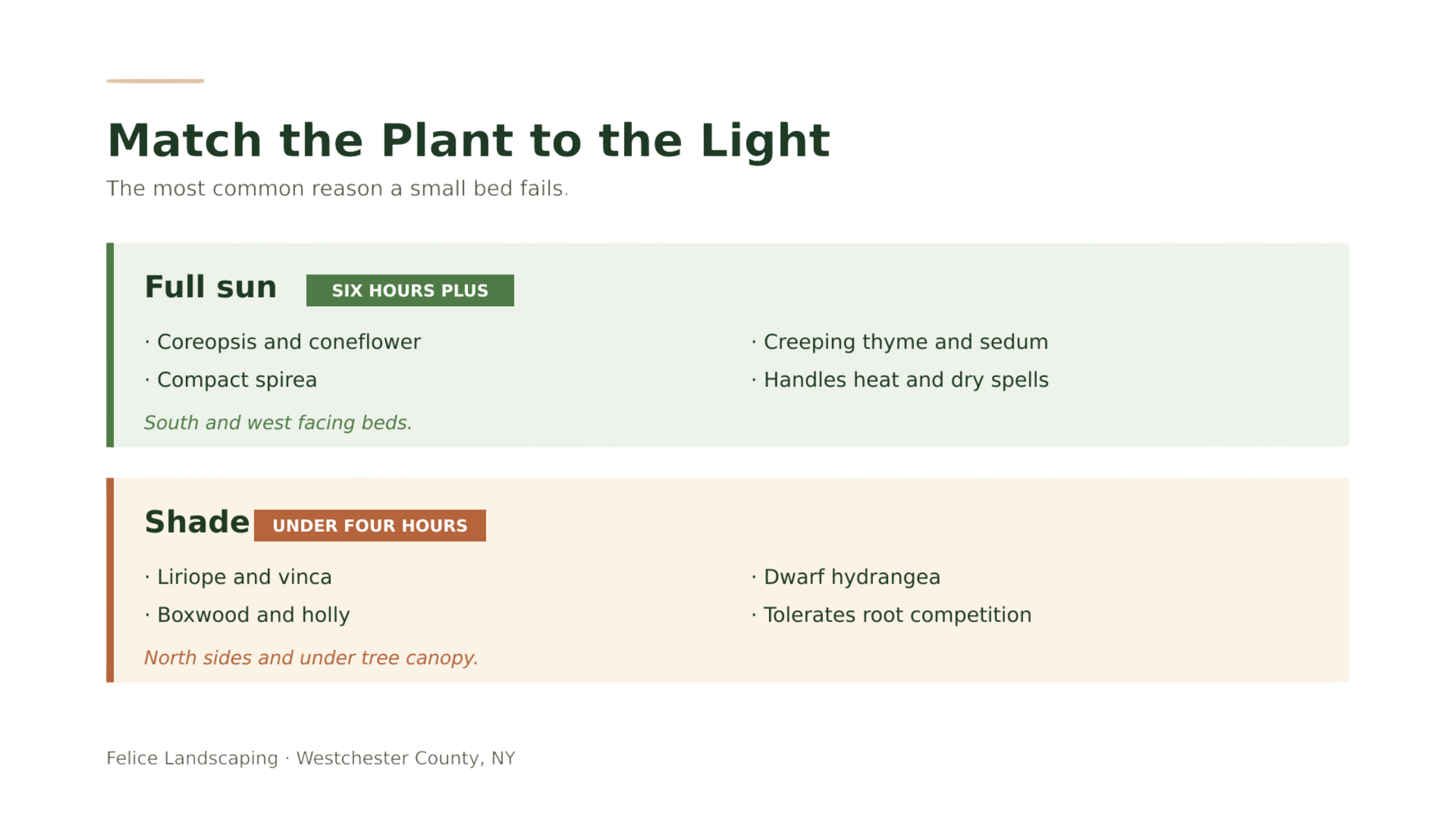 Match the plant to light