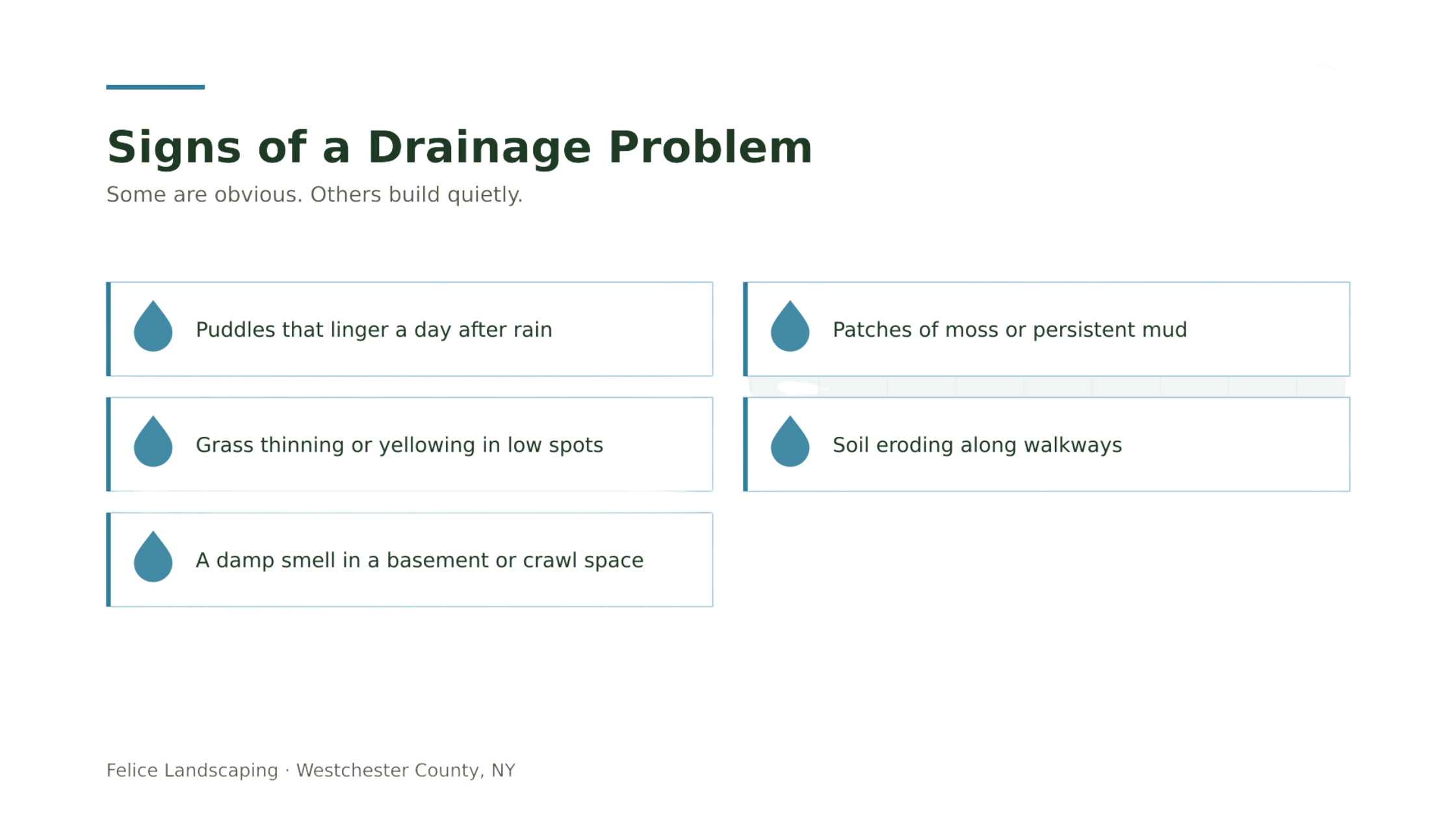 signs of yard drainage problems